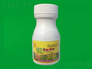 ·�ϸ��Y���-���