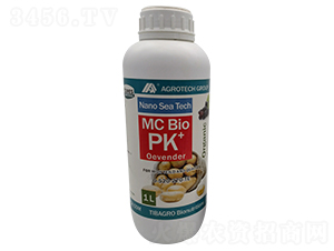 �W�����-���Ÿ��_-����̩��