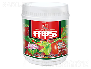 �����_�ׂ������τ�-�_�׌�-�r(n��ng)ʥ��