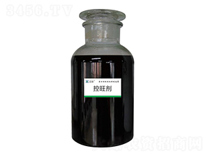 ������-�h�����B(t��i)