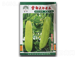 ѩ�״���S��-�S�ϷN��-�P�˷N�I(y��)