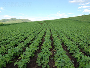 �ඹ4̖-�󶹷N��-��طN�I(y��)