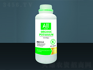 �ЙC�-�۠����B(t��i)