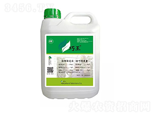 �G����-��Ȼ��