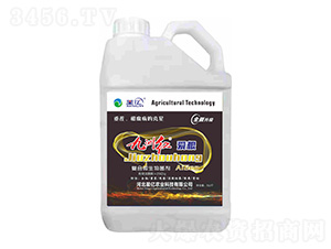 �ͺ�΢�������-���ݼt�۸�-�ǃ|�r(n��ng)�I(y��)