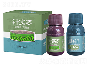 ����ᘌ���-������