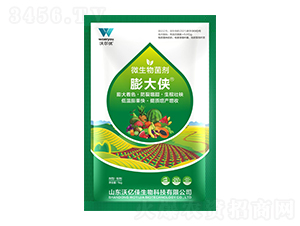 ���b΢�������-�փ|��