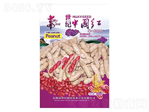 ���o(j��)�Ї�(gu��)�t�Aһ�t109-�����N��-�Aһ�N�I(y��)