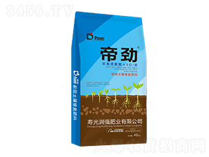 ���������ޏͷ���-�ۄ�