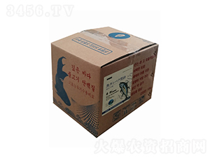 �ͺ��~�������w��-�ۄ�