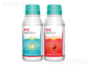 20%������Ҹ���+1.1%���S����������-�Ƽt�M��-�ێ�