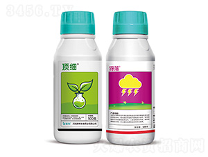 頂細(xì)+犽落-聚幫