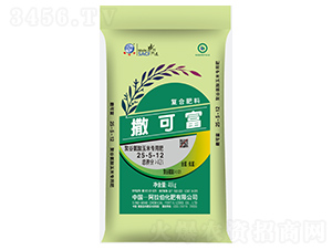 �۹Ȱ������׌�(zhu��n)�÷�25-5-12