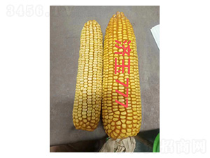 ��(j��)��777��(du��)�ȈD-�͹��S