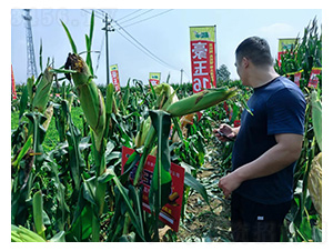 ����16�^Ħ-�͹��S