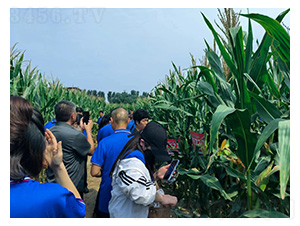 ��(j��)��777�^Ħ--�͹��S