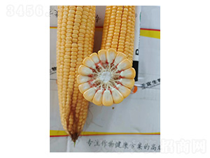 ����չʾ�D-�͹��S