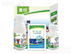 �؄�(chu��ng)-���՘�