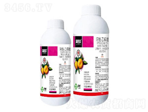 12%���S��������Ҹ���-�M����-���՘�(l��)