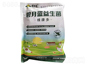 �����{(l��n)������-�����{(l��n)����