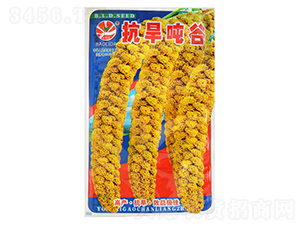 ��������-���ӷN��