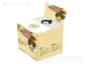 ����--�ѹ�Ӣ