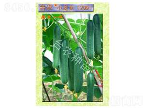 �_�r(n��ng)С��Ů209ȫ���S��-�S�ϷN��-�_�r(n��ng)�N��