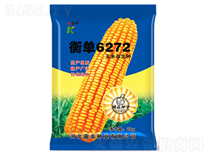 ���6272-���׷N��-�ο�