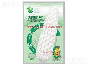 ���FŴ162-���׷N��-�𸣈@�r(n��ng)�I(y��)