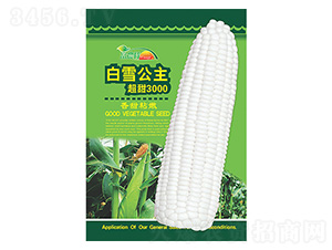 ���׷N��-��ѩ����-����