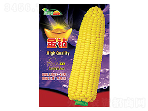 ���׷N��-���@-����