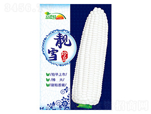 ���׷N��-�nѩ-����