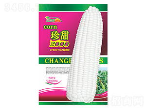 ���׷N��-����2000��Ŵ-����