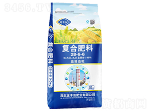 ���������ͺϷ���28-6-6-���S��-���S��