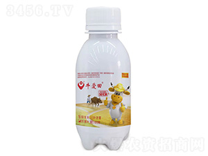 ţ��(��i)��100��-��������