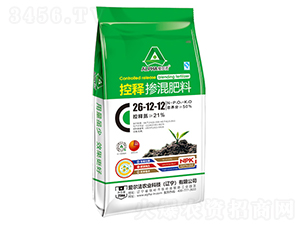 ��ጓ������26-12-12-�۠���