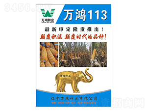 ���׷N��-�f(w��n)��113-�f(w��n)���N�I(y��)