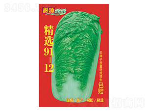 白菜種子-精選91-12-科星