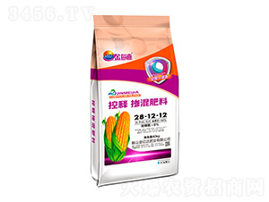 ��ጓ������28-12-12-��ÿ��-���|�_(d��)�ʘI(y��)