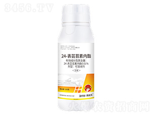 24-表蕓苔素內(nèi)酯可溶液劑100g-及時創(chuàng)·雨狀元-及時雨