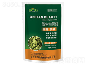 ΢�������-�������-��������