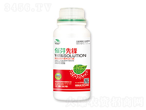 高端茶葉營(yíng)養(yǎng)活力素-催芽先鋒-宇東植康-圣金肥業(yè)