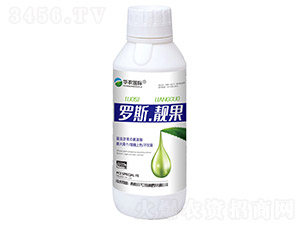 羅斯·靚果-華農(nóng)國際