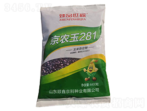京農(nóng)玉281玉米雜交種-臻品世稼-農(nóng)邦樂