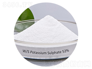 ����⛣������Է�ĩ��-�۸�˼�_(d��)