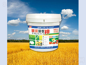 ���V�\�F�-����