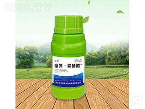 ȫ�躣�塤��ֳ��-��Ԫ��