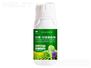 �ײ������{(l��n)���Ą�-�֠���(y��u)