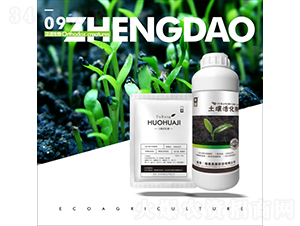 �������-��������