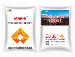 �����������g(sh��)��-�·���-�������r(n��ng)